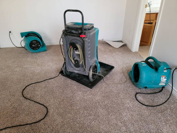  Pomeroy, OH Water damage restoration Pros