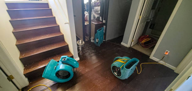 Best Carpet water damage restoration  in Pomeroy, OH