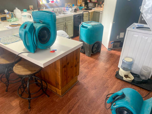 Reliable Pomeroy, OH Water damage restoration Solutions