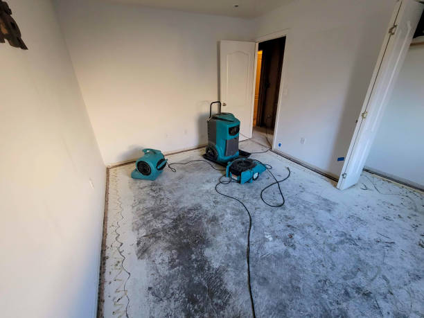 Best Flooded house restoration  in Pomeroy, OH