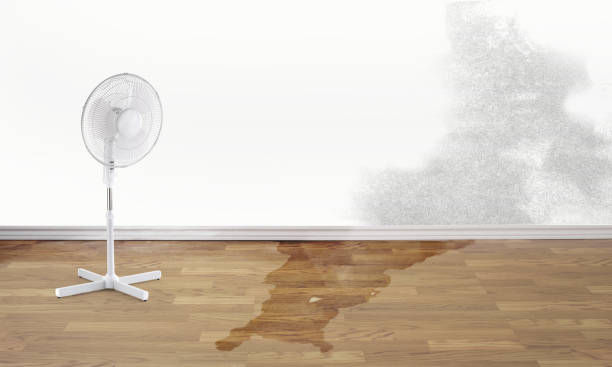  Pomeroy, OH Water damage restoration Pros