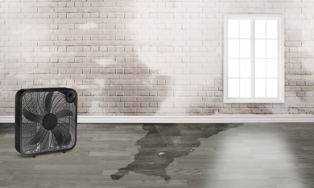Best 24/7 water damage repair  in Pomeroy, OH