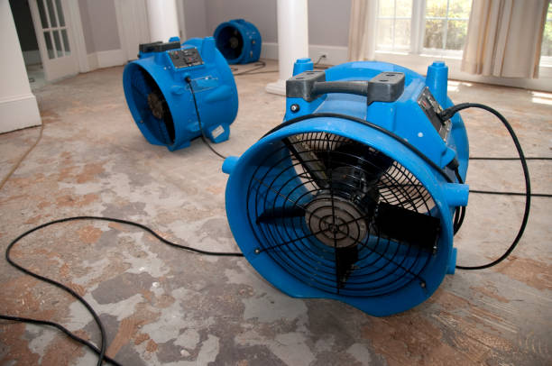 Best Basement water damage restoration  in Pomeroy, OH