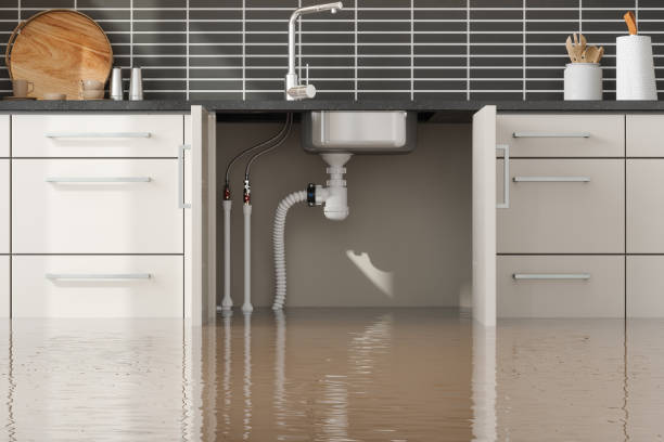 Best Sewage cleanup and water damage restoration  in Pomeroy, OH