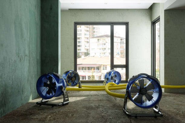 Best Professional water damage repair  in Pomeroy, OH