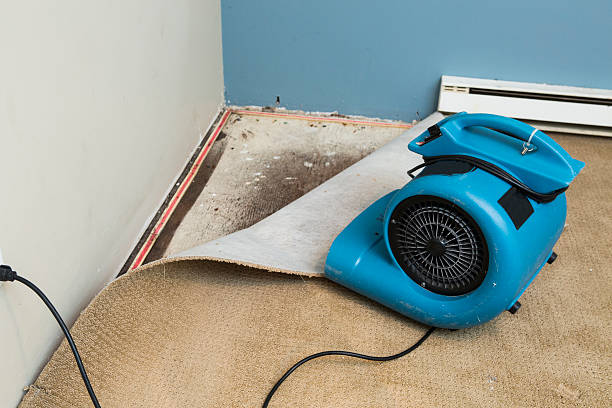 Best Water damage restoration near me  in Pomeroy, OH